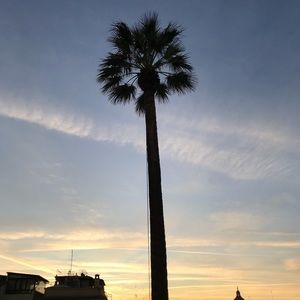 Meet your Posher, Signe